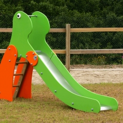 T11_P